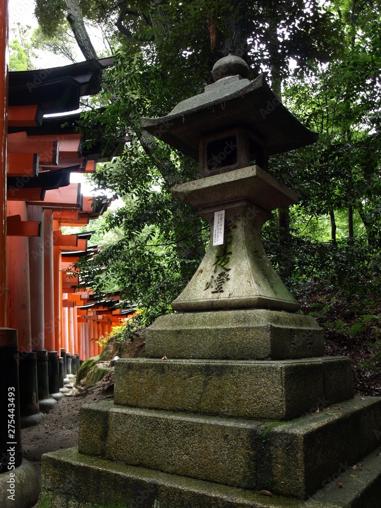 Fototapeta premium OLYMPUS DIGITAL CAMERA