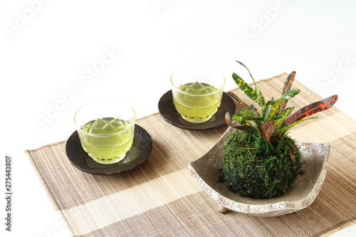 クロトンの苔玉と冷たい緑茶