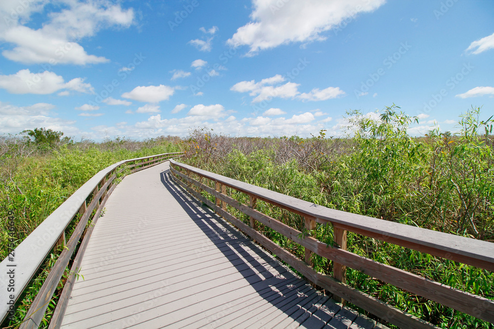USA. Florida. Everglades National Park. Anhinga Trail. Hiking footbridge in the vegetation. USA. Florida. Everglades National Park. Anhinga Trail. Hiking footbridge in the vegetation.