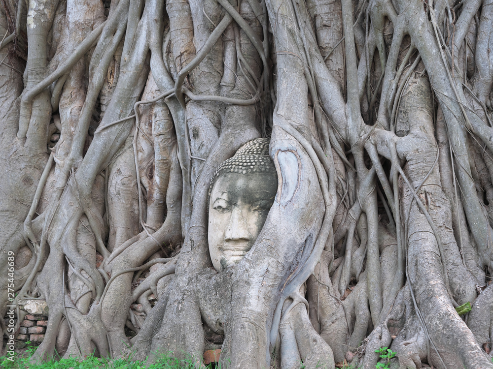 タイ王国　アユタヤ　奇跡の仏頭　ワット・マハータート/Wat Maha That