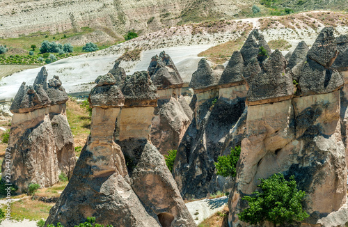 Turkey, Goreme National park and the rock sites of Cappadocia, hoodoos topped with their basalt dome in the Pasabag valley (UNESCO World Heritage) photo