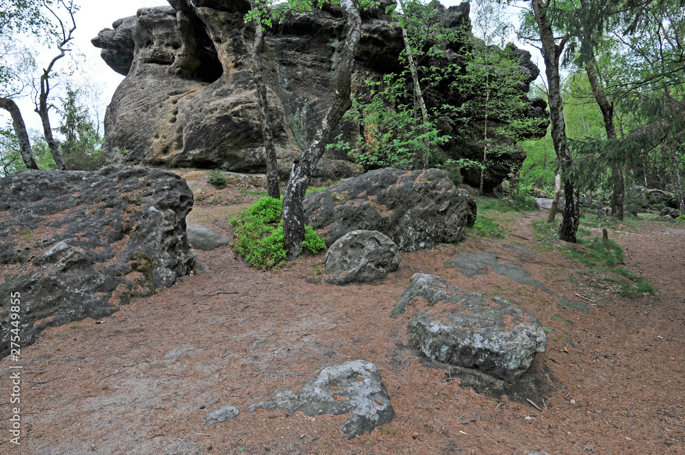 felsen auf dem töpfer im zittauer gebirge felsen auf dem töpfer im zittauer gebirge