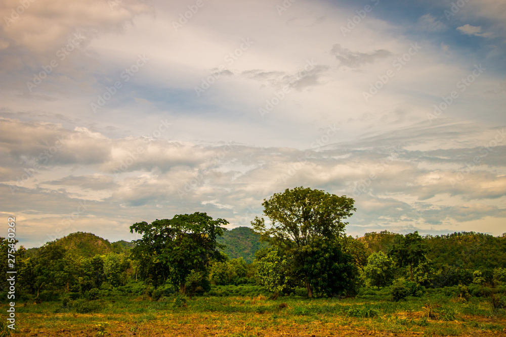 Fototapeta premium Mountain view in the evening