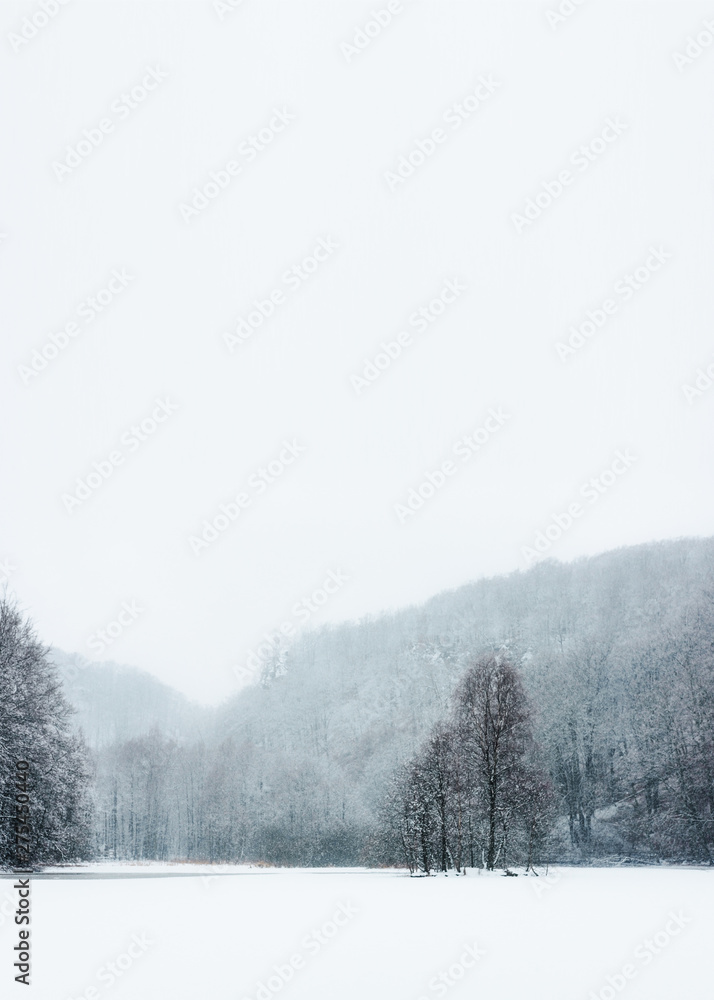 Naklejka premium winter mountain landscape with snowy trees and snow