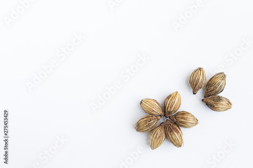 Dry palm seed arrangement in flower shape isolate on white background