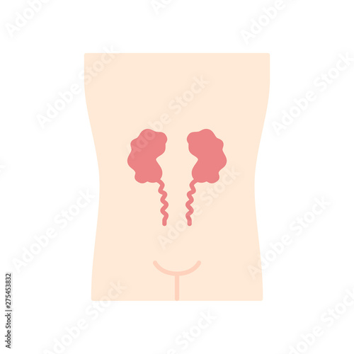 Ill kidneys flat design long shadow color icon. ore human organ. Unhealthy urinary system. Nephropathy. Sick internal body part. Kidney failure. Vector silhouette illustration
