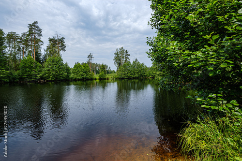 calm summer day evening by the forest lake in forest