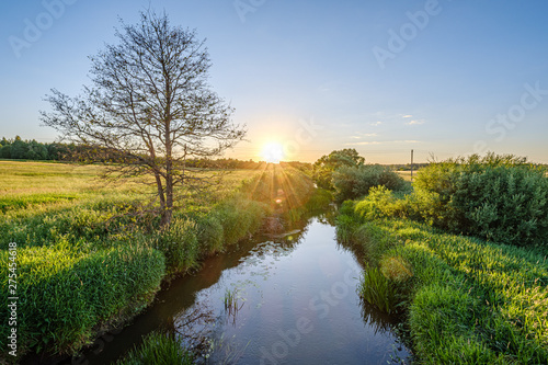 calm summer day evening by the forest lake in forest