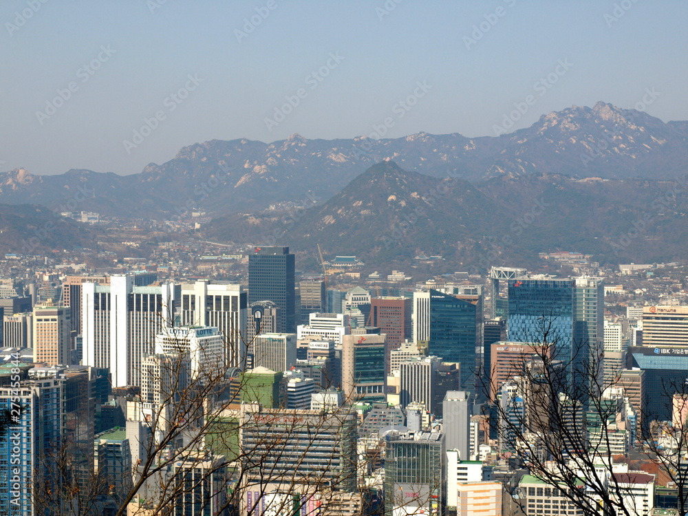 Fototapeta premium OLYMPUS DIGITAL CAMERA