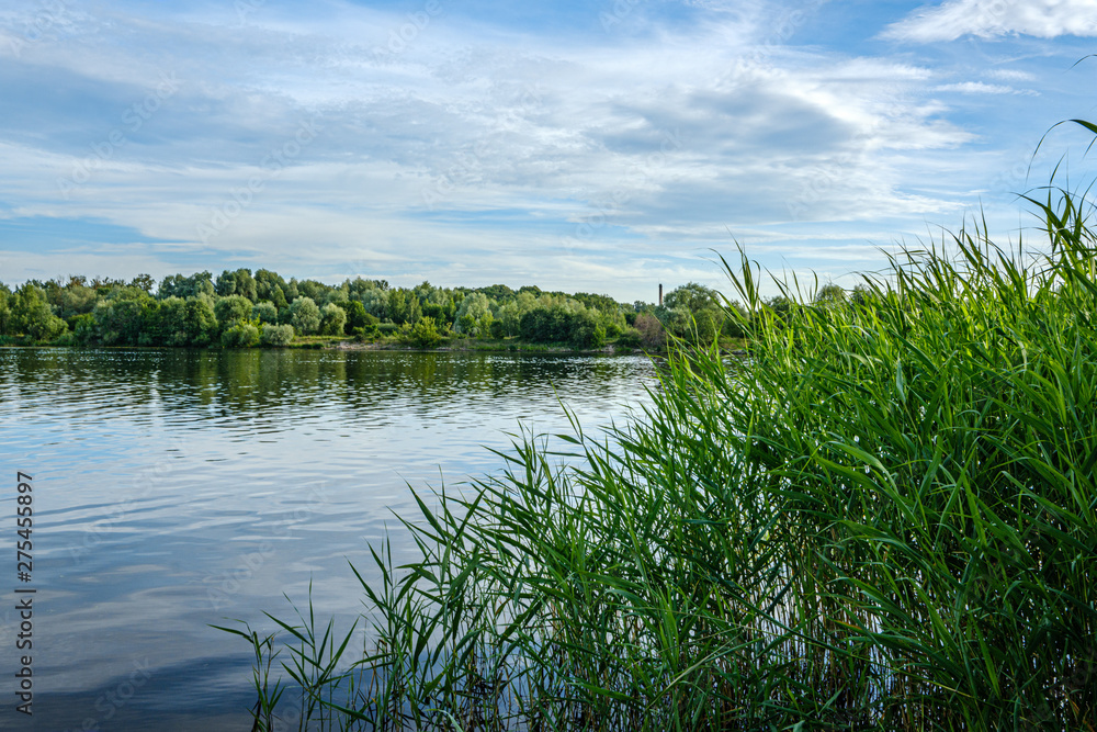 calm summer day evening by the forest lake in forest calm summer day evening by the forest lake in forest