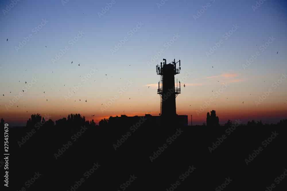 outlines of the city in the light of the evening. Tower and birds on the background of the sunset sky. Industrial city.