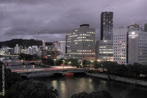 Japan skyline at night