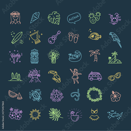 Tropical summer, hawaii icon set with white background