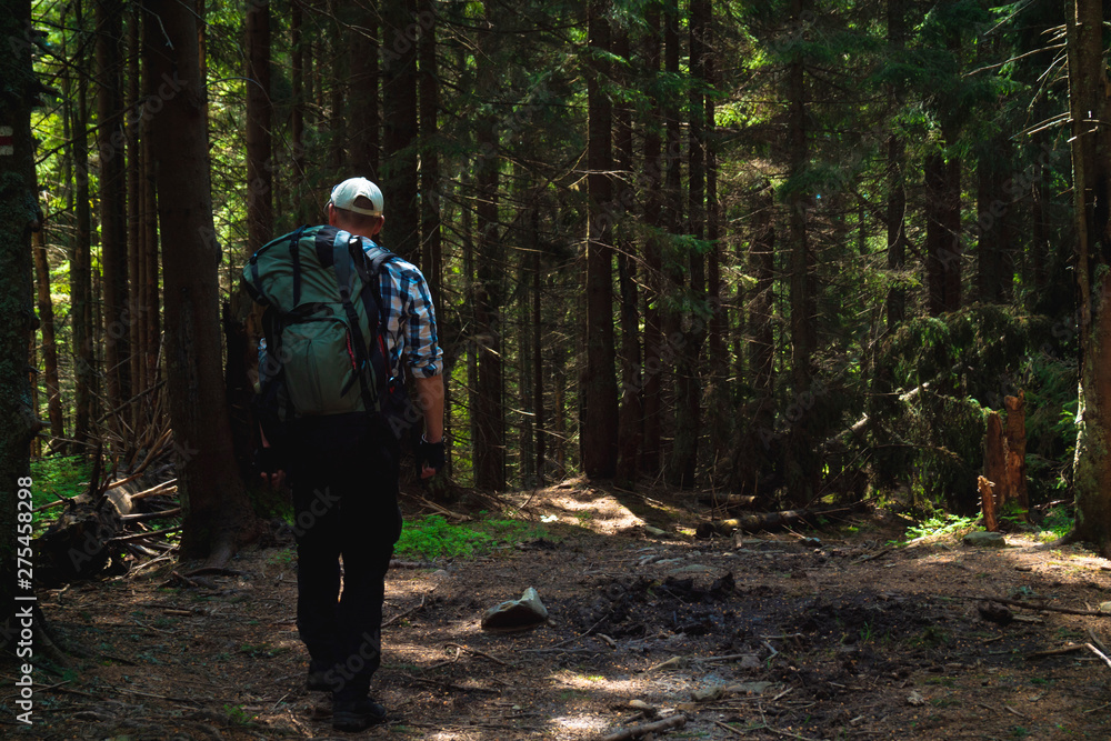 male traveler goes to the mountain through the forest male traveler goes to the mountain through the forest