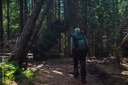 male traveler goes to the mountain through the forest