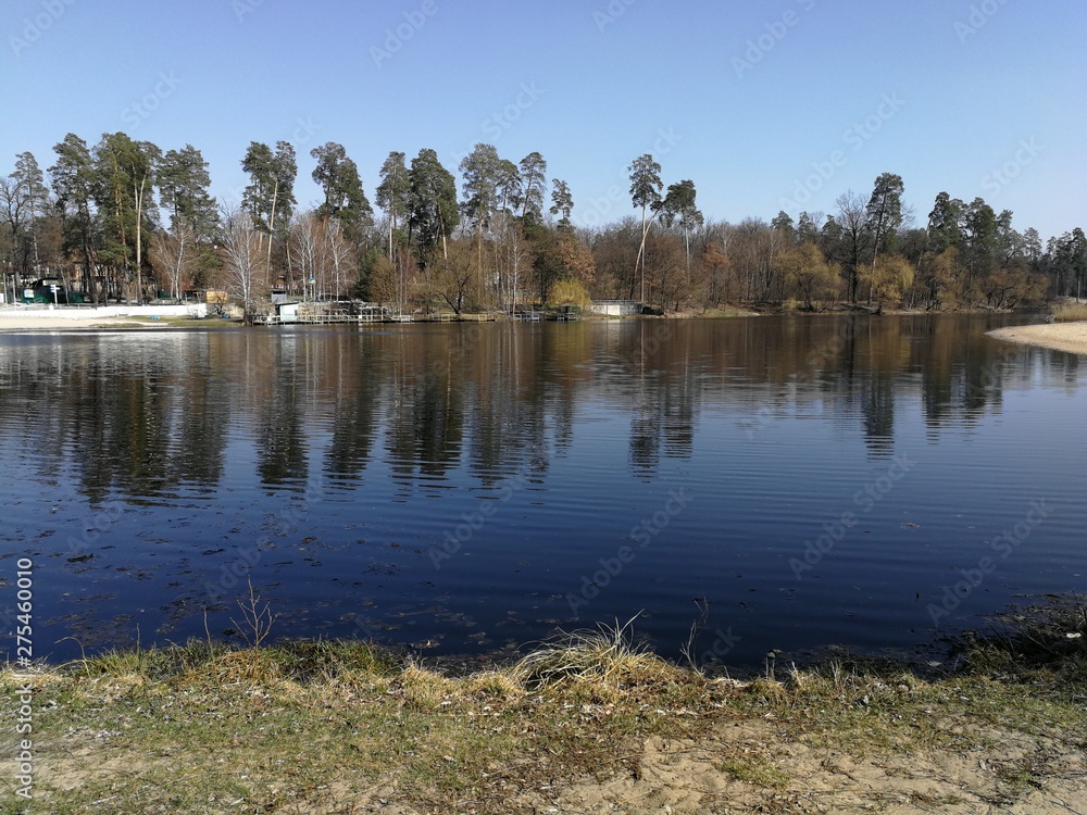 Obraz premium landscape with lake and trees