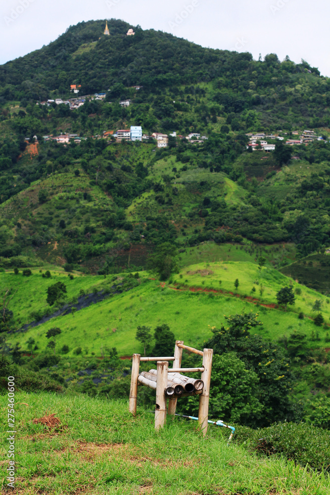 custom made wallpaper toronto digitalBamboo chair on grass in Tea Plantation on the mountain and forest is very beautiful view in Chiangrai Province, Thailand.