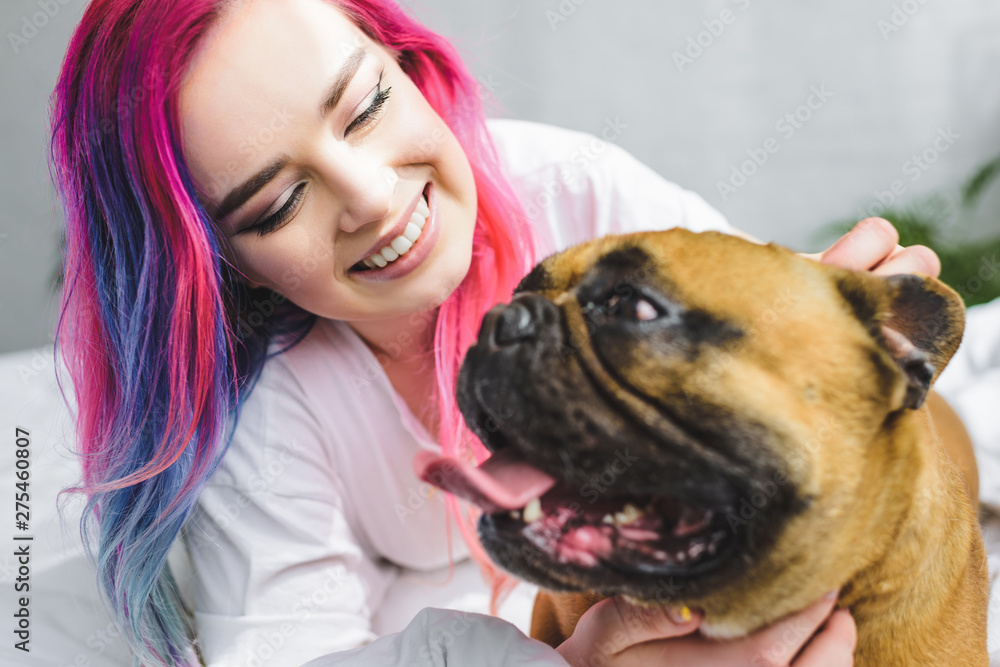 Fototapeta selective focus of happy girl with colorful hair laying with french bulldog in bed
