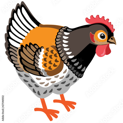 cartoon hen . Vector illustration isolated on white