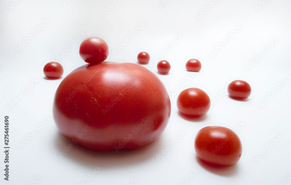 ripe red tomato big and small ripe red tomato big and small