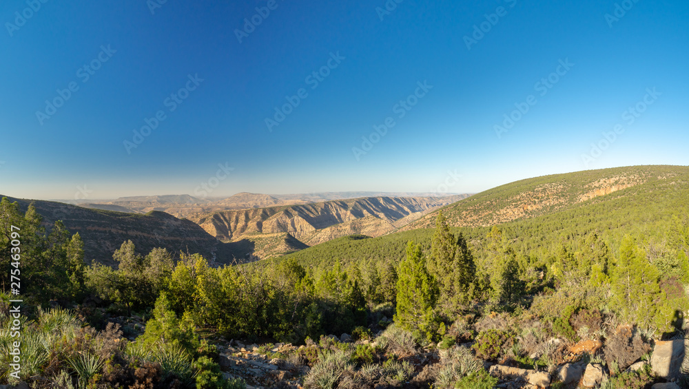 hældning Mor cyklus Agadir, Morocco, North Africa [Moroccan mountain landscape, rural village  farm and house, green nature in winter] Stock Photo | Adobe Stock