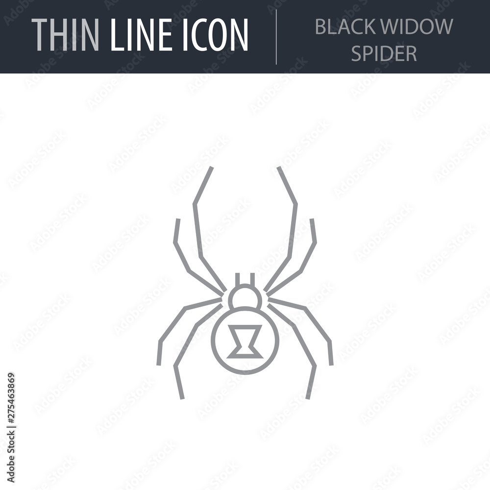 Symbol of Black Widow Spider. Thin line Icon of Insect. Stroke Pictogram  Graphic for Web Design. Quality Outline Vector Symbol Concept. Premium Mono  Linear Beautiful Plain Laconic Logo Stock Vector | Adobe