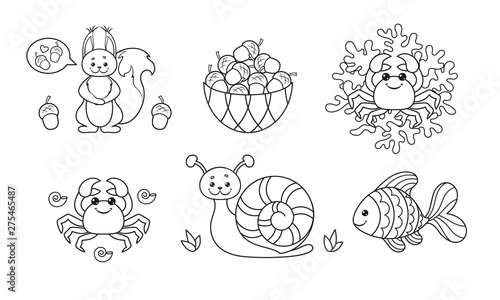 Coloring page set with cute animals: a squirrel, a crab, a coral, a snail, and a fish. Vector Illustration.