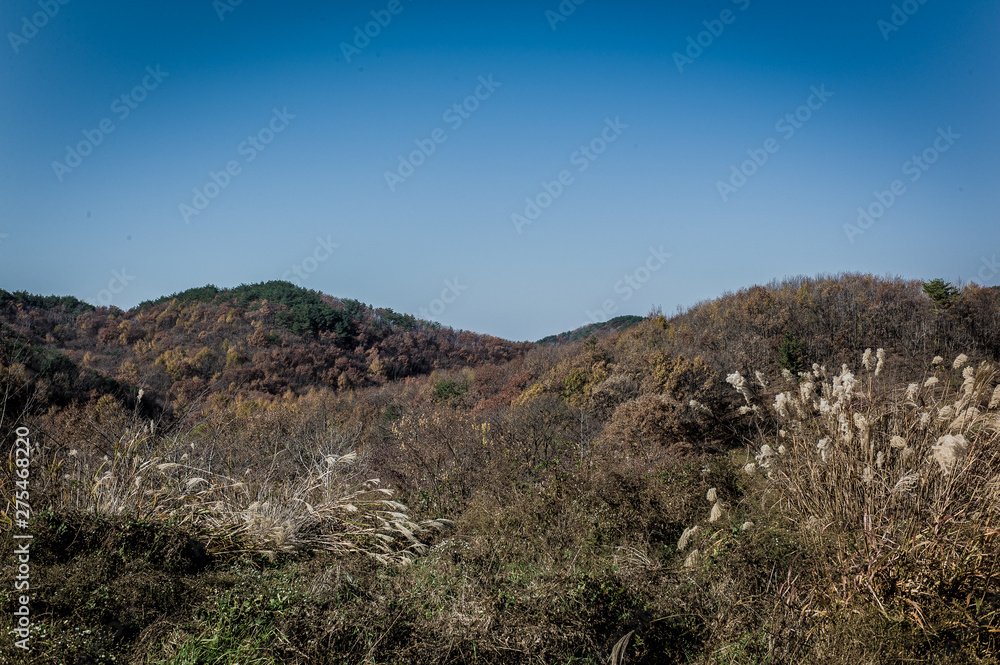 Mountain in the autumn