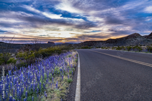 Sunset in Big Bend with blue bonnets along the road