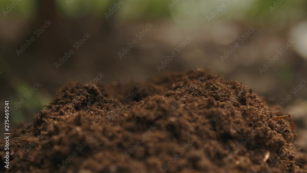Women working the soil manually with the hoe. Close up of the legs and tools. Women working the soil manually with the hoe. Close up of the legs and tools.