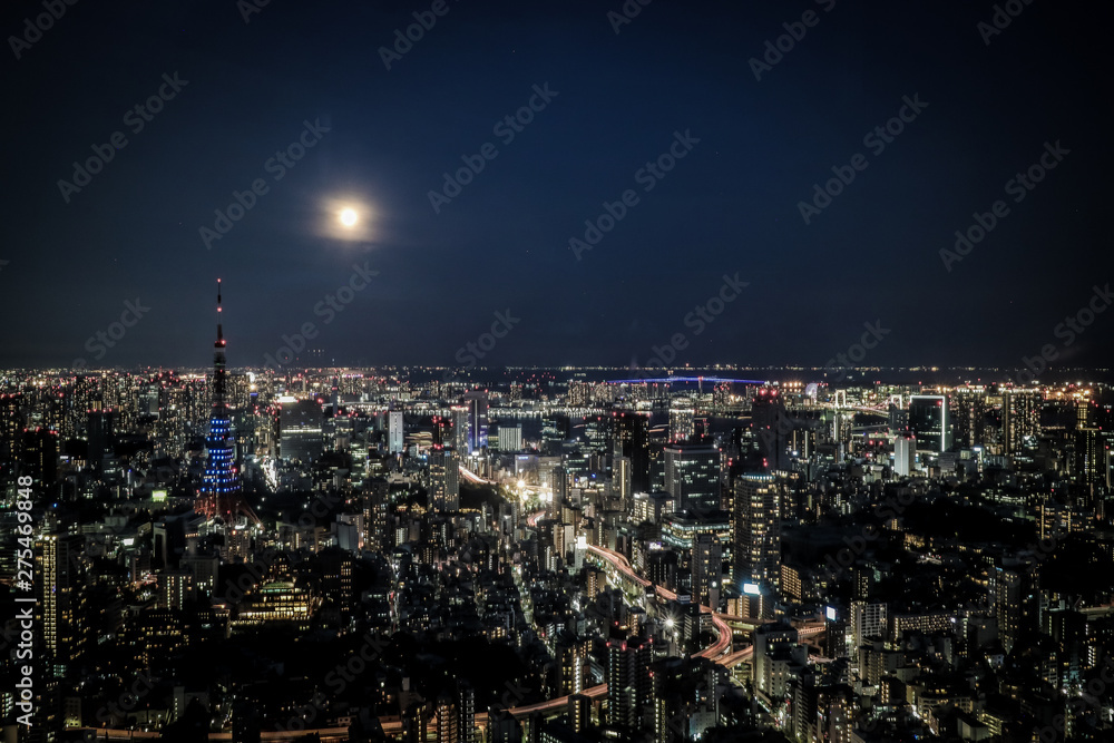 Fototapeta premium Tokyo city