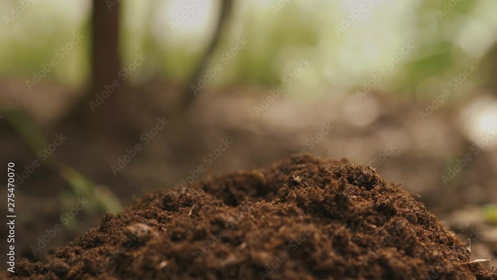 Women working the soil manually with the hoe. Close up of the legs and tools. Women working the soil manually with the hoe. Close up of the legs and tools.