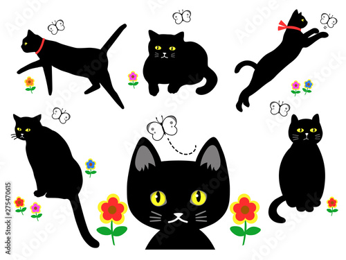 Cat and flower