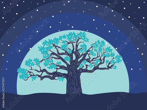 Night and big tree