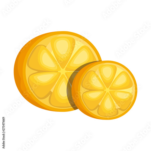 sliced oranges fruits isolated icon