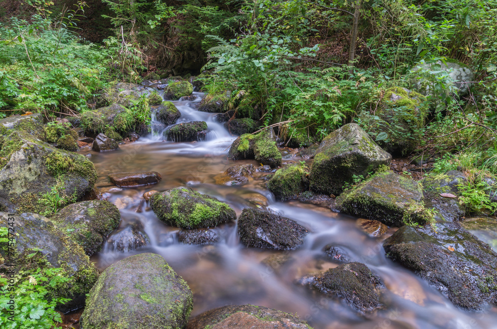 Cascade du Hohwald 12 Cascade du Hohwald 12