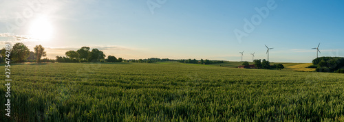 Windkraftanlage mit Getreidefeld bei Sonnenuntergang Panorama