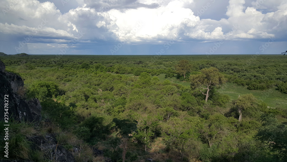Obraz premium Aerial view from Chobe National Park