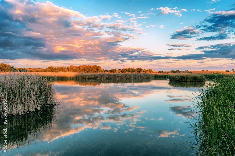 Fototapeta premium Laguna en el Parque Nacional de las Tablas de Daimiel. Ciudad Real. España.