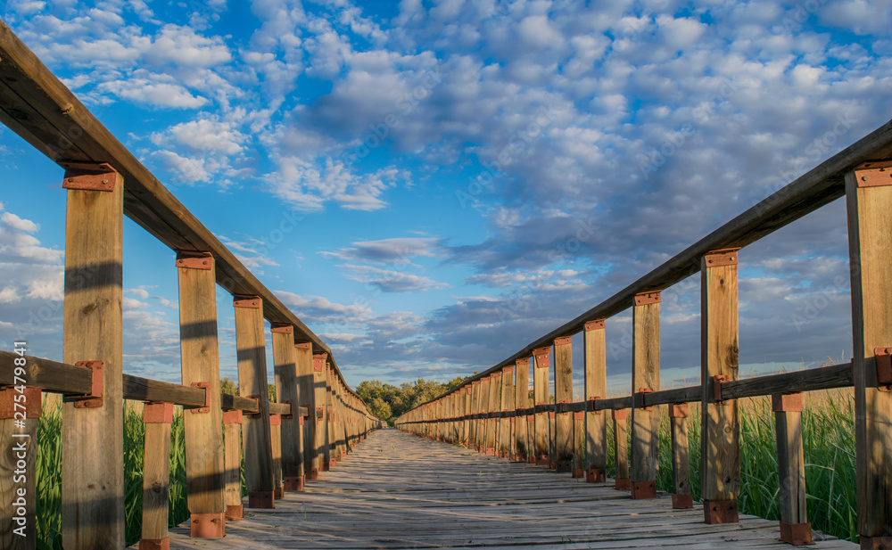 Puente de madera en el Parque Nacional de las Tablas de Daimiel. Ciudad Real. España.
