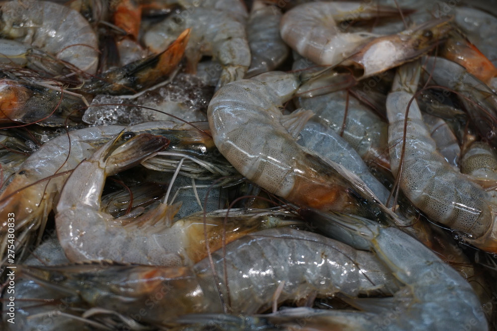 Fresh srimp background. Shrimps in a local market of tropical Fresh srimp background. Shrimps in a local market of tropical