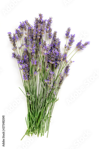 A fresh bouquet of blooming lavender flowers  shot from the top on a white background with a place for text