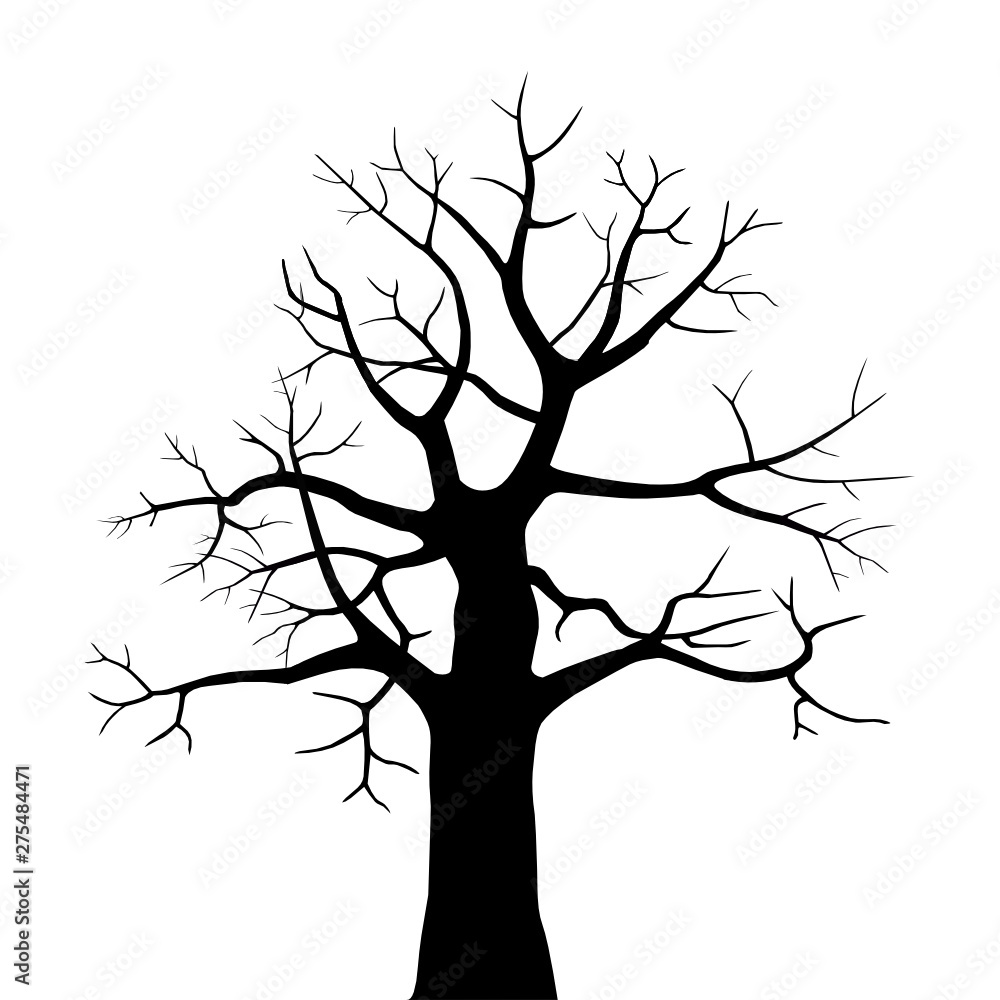 Fototapeta premium Tree silhouette