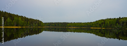 lake in the forest
