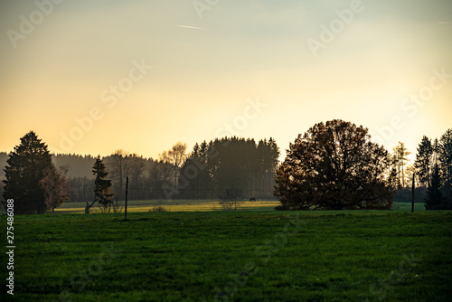 Moody Autumn Landscape in Bavaria Horse