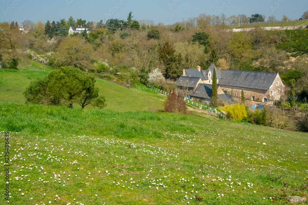 Obraz premium village in countryside