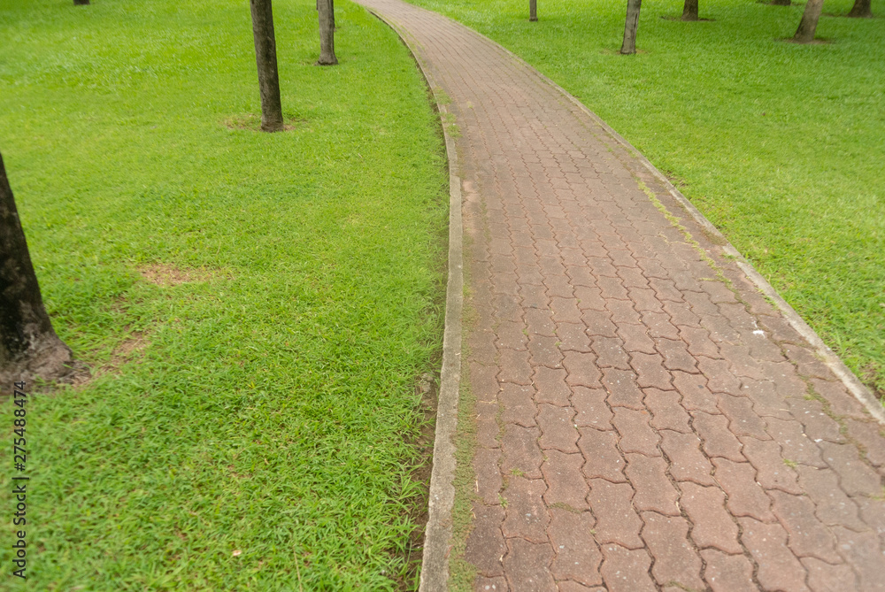 path in the park