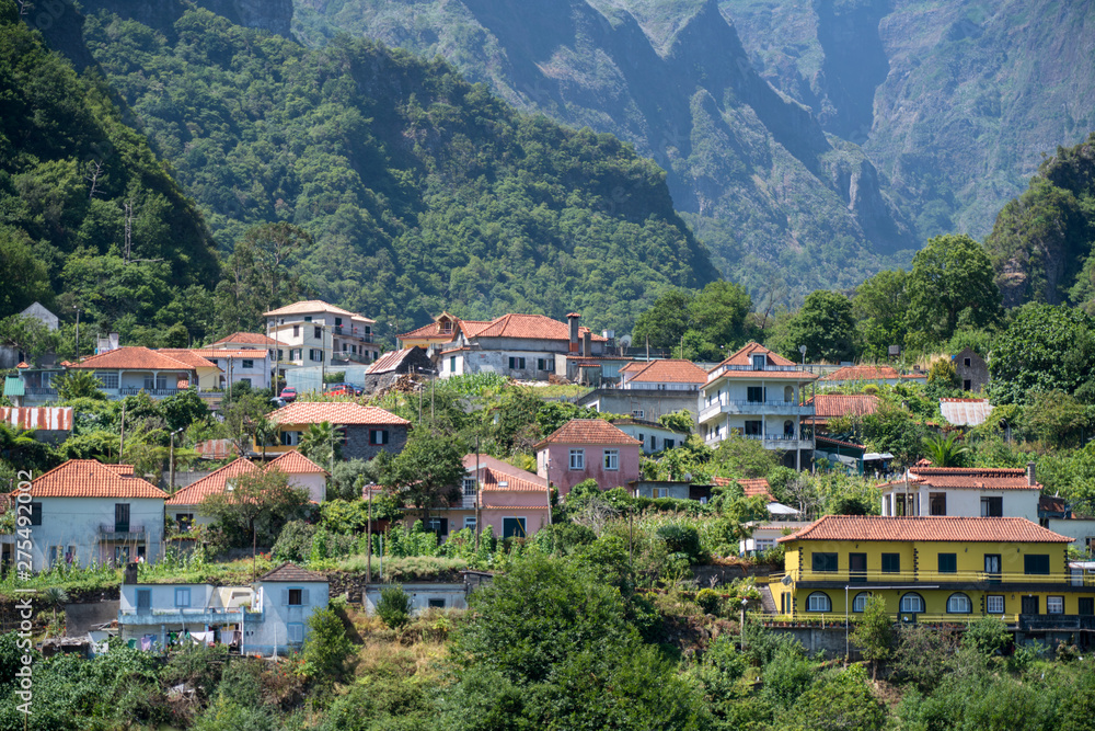 Madeira Houses built into the green Forest