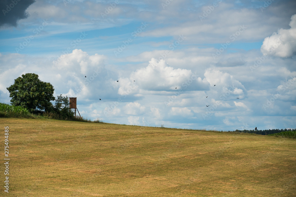Hunting Stand with crows in Bavarian Landscape Hunting Stand with crows in Bavarian Landscape
