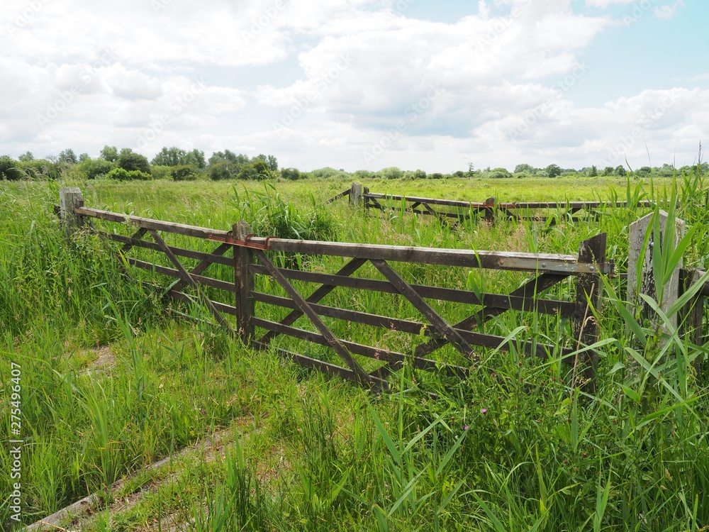 The fens in East Anglia